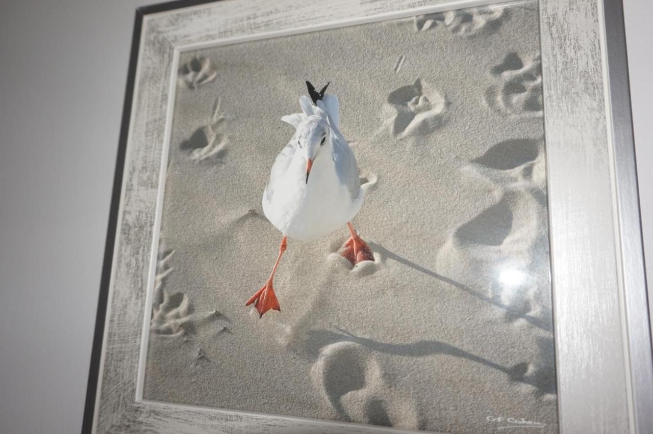 Appartement De Standing Berck Luaran gambar